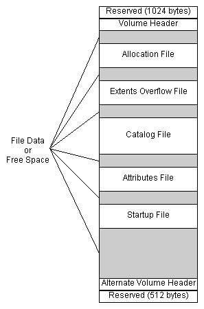 hfs+ file system volume structure